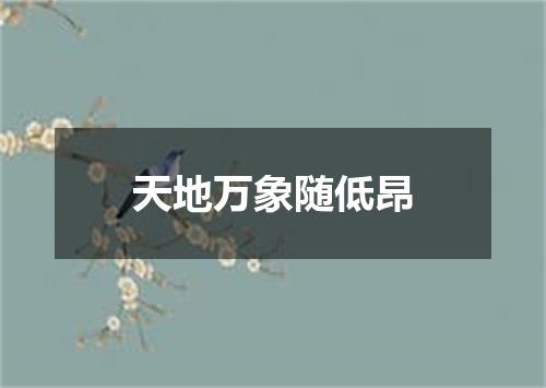 天地万象随低昂