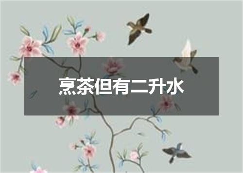 烹茶但有二升水