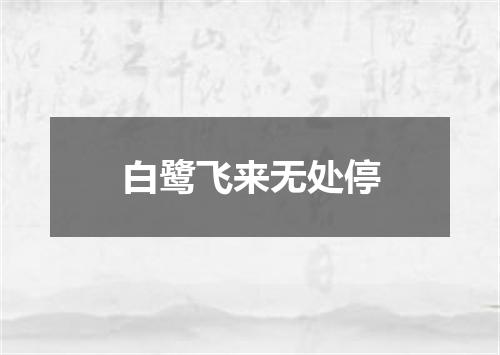 白鹭飞来无处停