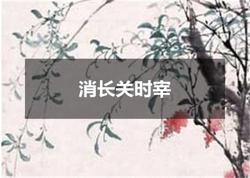 消长关时宰