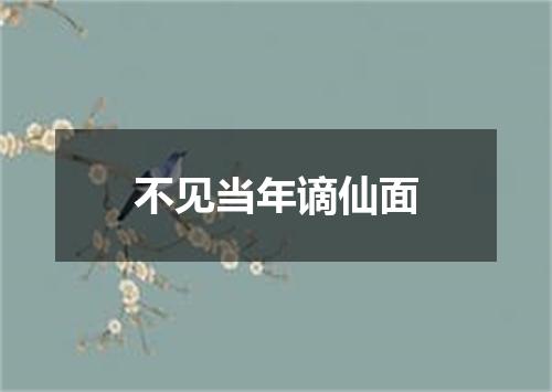 不见当年谪仙面