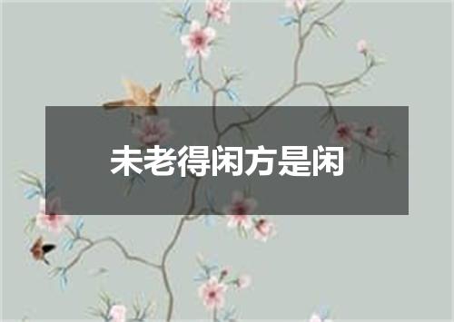 未老得闲方是闲