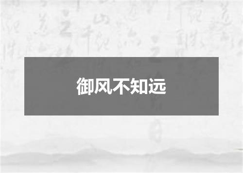 御风不知远