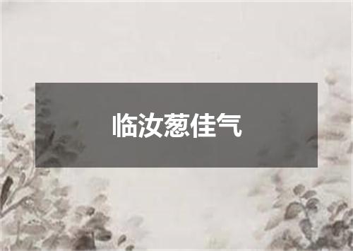 临汝葱佳气