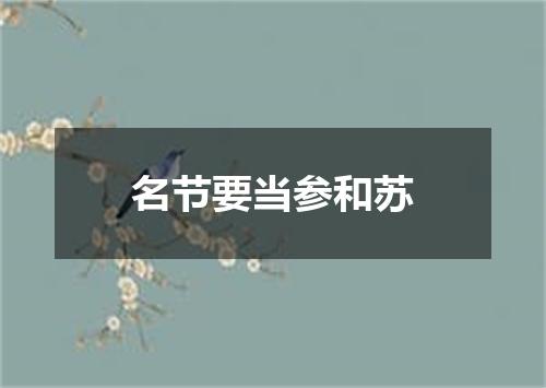 名节要当参和苏