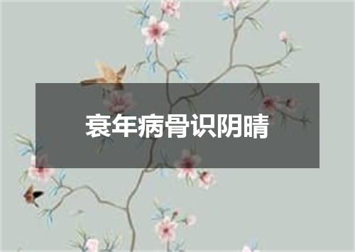 衰年病骨识阴晴