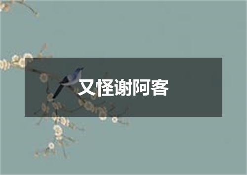 又怪谢阿客
