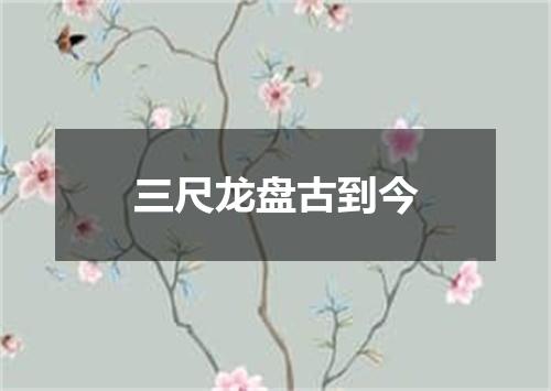 三尺龙盘古到今