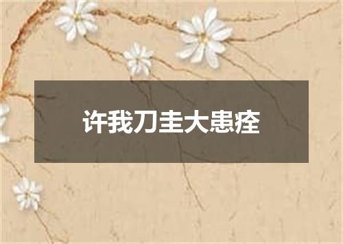 许我刀圭大患痊