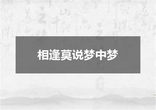 相逢莫说梦中梦