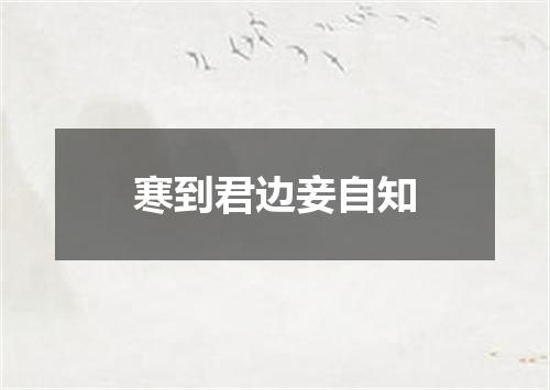 寒到君边妾自知