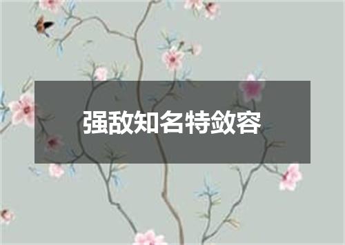 强敌知名特敛容