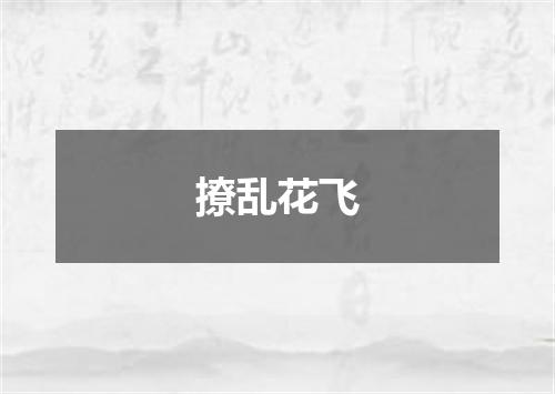 撩乱花飞