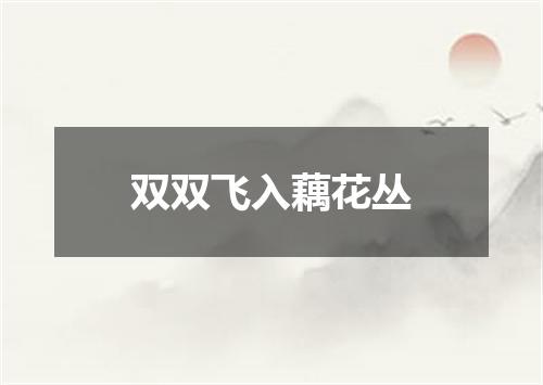 双双飞入藕花丛