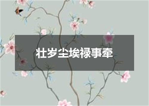 壮岁尘埃禄事牵