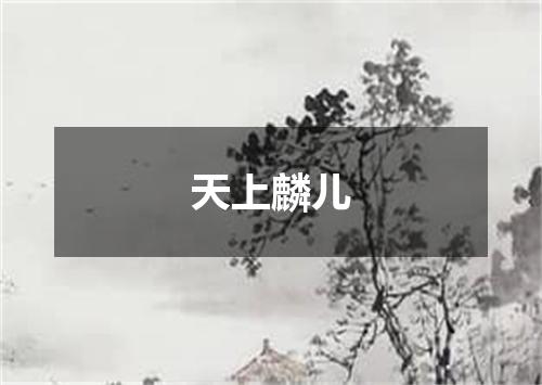 天上麟儿