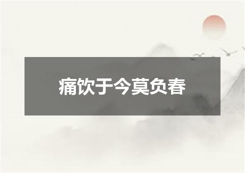 痛饮于今莫负春