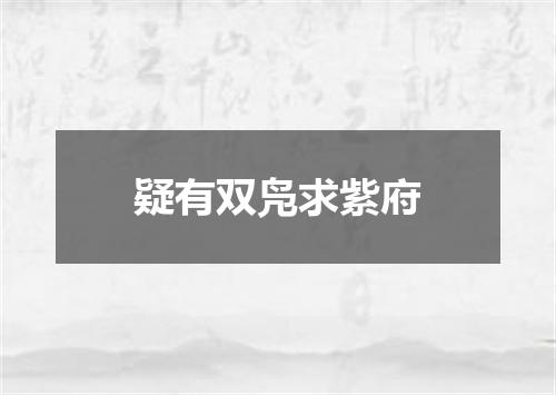 疑有双凫求紫府