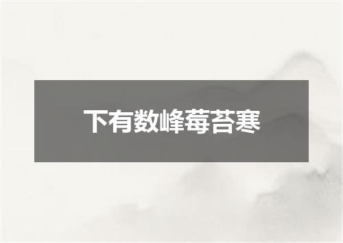 下有数峰莓苔寒