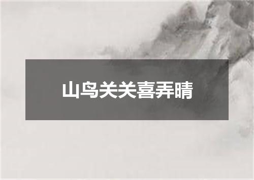 山鸟关关喜弄晴