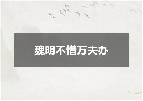 魏明不惜万夫办