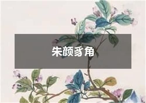 朱颜豸角