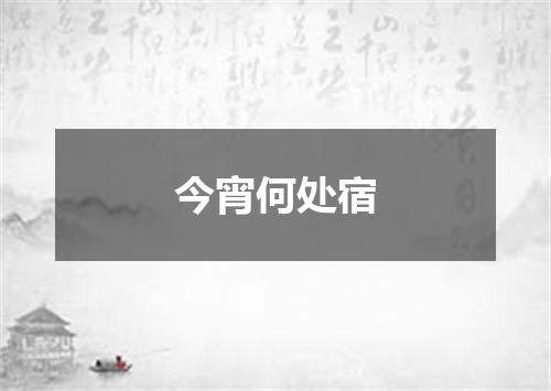 今宵何处宿