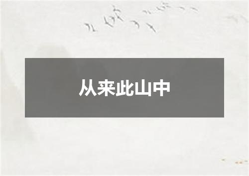 从来此山中