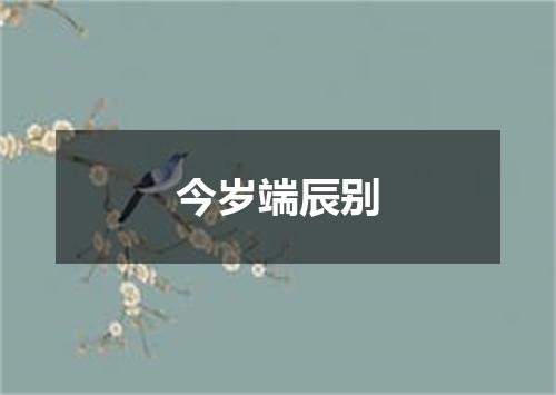 今岁端辰别