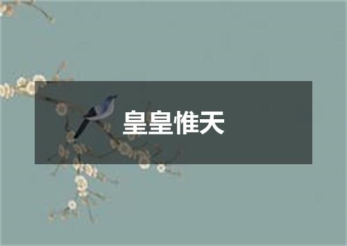 皇皇惟天