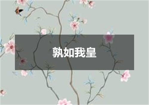 孰如我皇