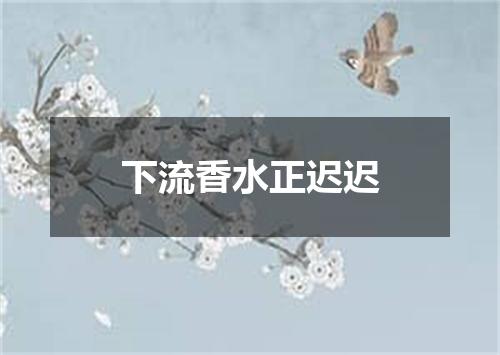 下流香水正迟迟
