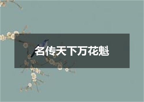 名传天下万花魁