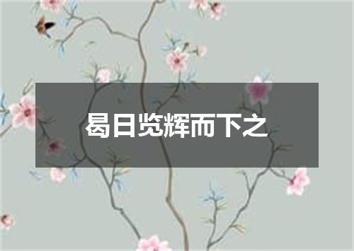 曷日览辉而下之