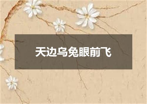 天边乌兔眼前飞