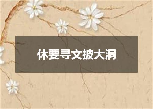 休要寻文披大洞