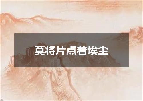 莫将片点着埃尘