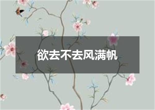 欲去不去风满帆
