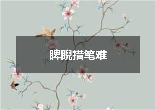 睥睨措笔难