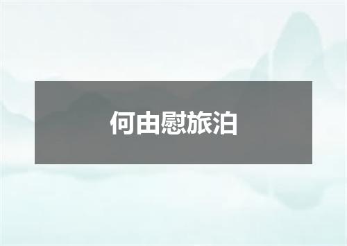 何由慰旅泊