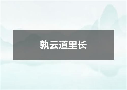 孰云道里长