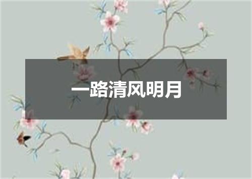 一路清风明月