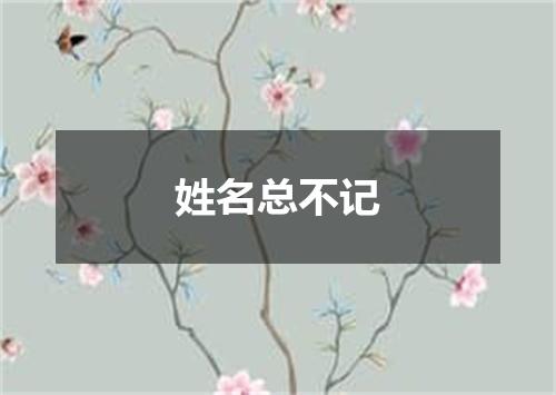 姓名总不记