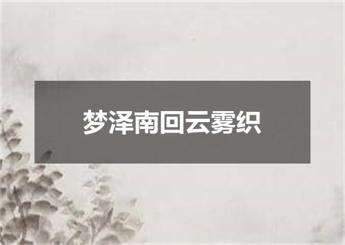 梦泽南回云雾织