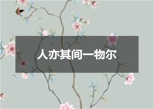 人亦其间一物尔