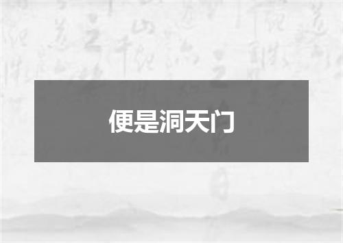 便是洞天门