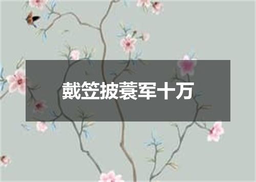 戴笠披蓑军十万
