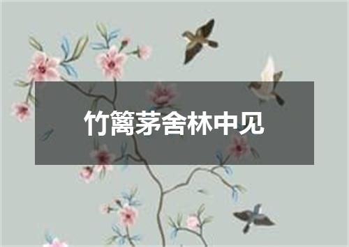 竹篱茅舍林中见