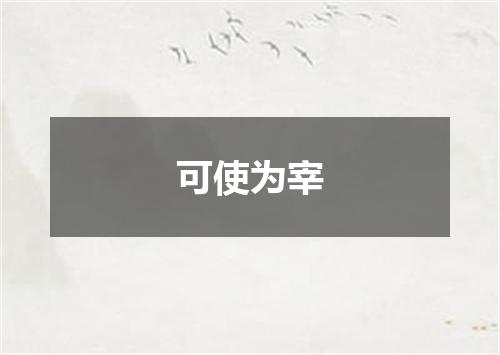 可使为宰