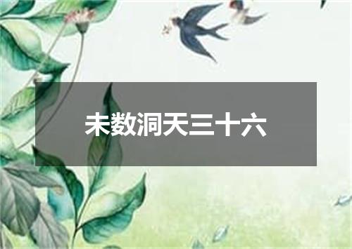 未数洞天三十六
